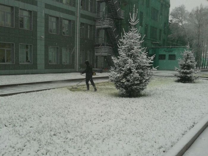 Прикольные картинки