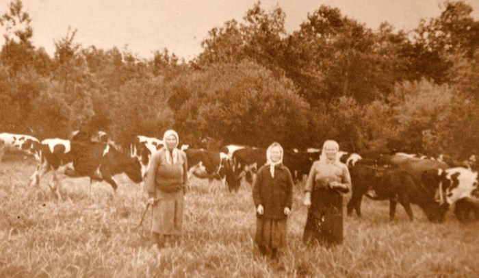 Трагичная история русской деревни, о которой старались не вспоминать в СССР Трагичная история русской деревни, о которой старались не вспоминать в СССР