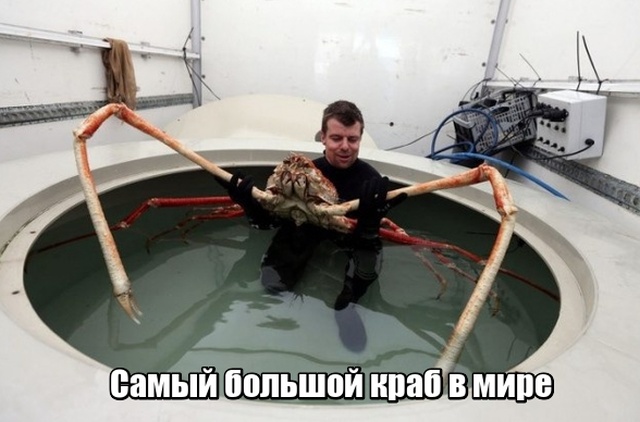 Мир никогда не прекратит удивлять нас