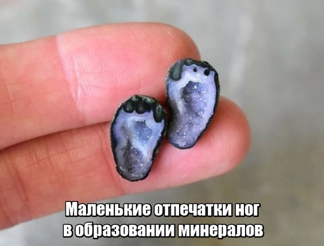 Мир никогда не прекратит удивлять нас