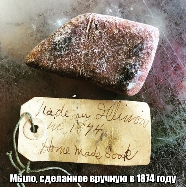 Мир никогда не прекратит удивлять нас