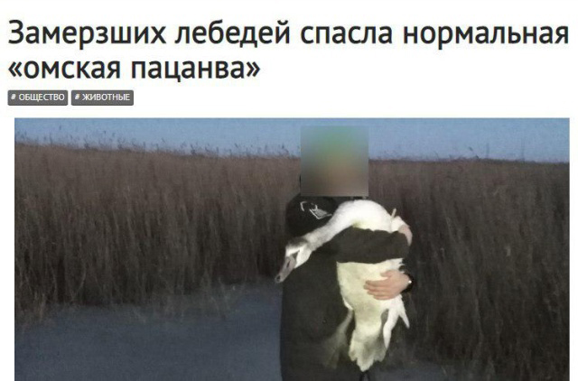 Странные новости со смешными заголовками