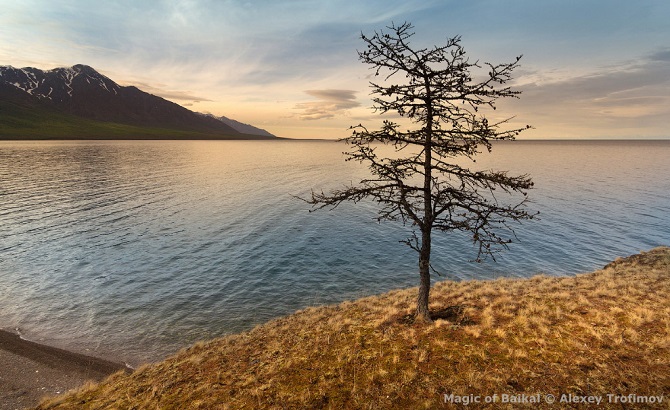 Магия Байкала. Виртуальная фотовыставка Магия Байкала. Виртуальная фотовыставка