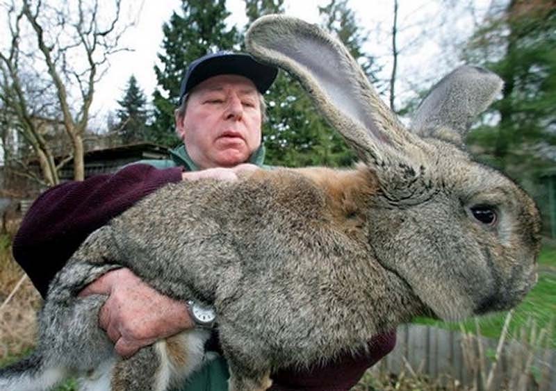 20 изображений которые, как в это ни трудно поверить, сделаны без фотошопа