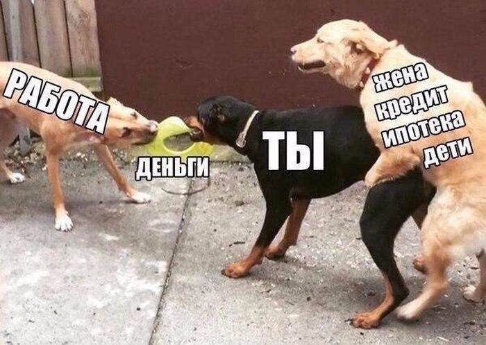 Прикольные картинки