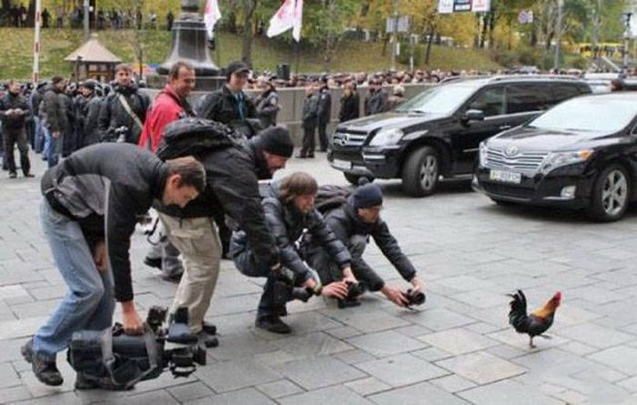 Фотографом быть нелегко