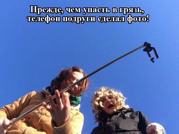 Порция картинок