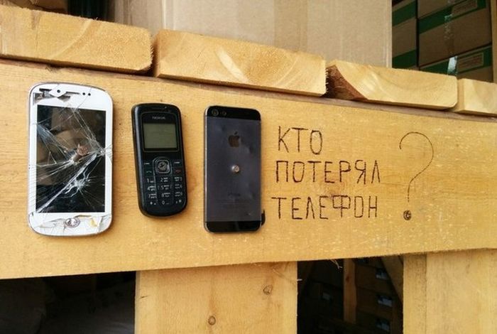 Порция картинок