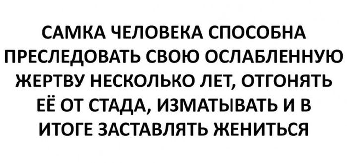 Порция юмора из социальных сетей