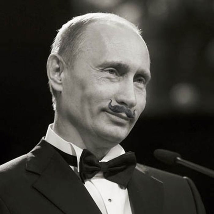 Сайт фанатов Путина с усами (43 фото)