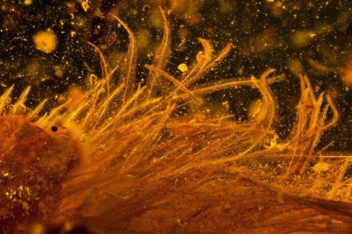 Необычные явления нашей планеты из журнала National Geographic Необычные явления нашей планеты из журнала National Geographic