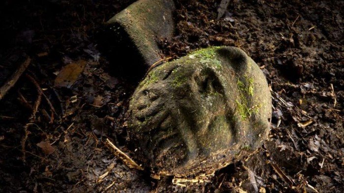 Необычные явления нашей планеты из журнала National Geographic Необычные явления нашей планеты из журнала National Geographic
