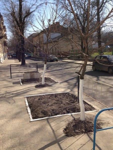 Как выглядит черная полоса со стороны