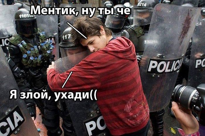Прикольные картинки