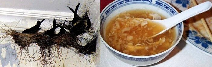 Самые дорогие и странные покупки Самые дорогие и странные покупки