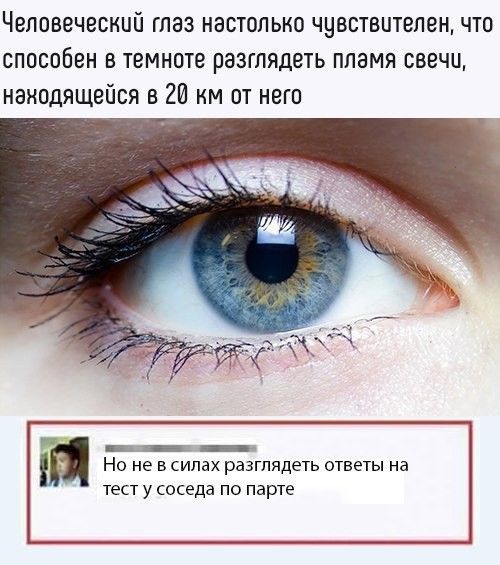Юмор из социальных сетей