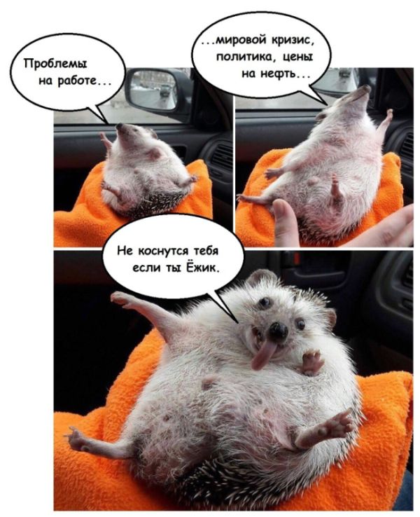 Смешные комиксы