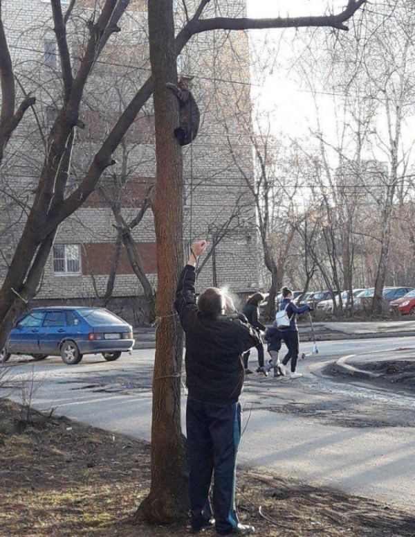Странности в наших краях
