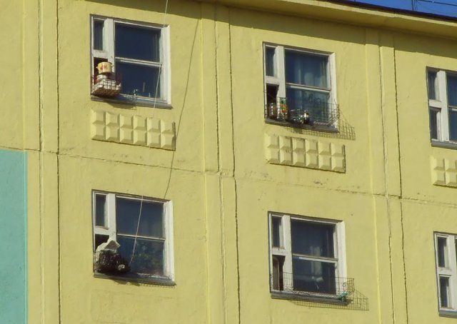 Странности в наших краях