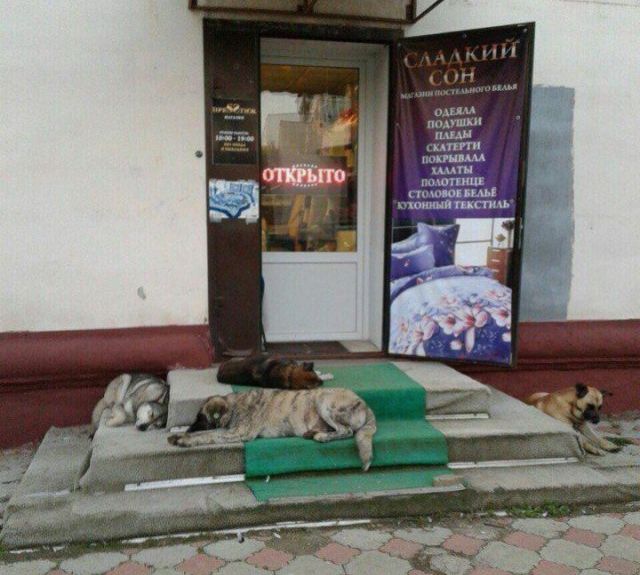 Странности в наших краях
