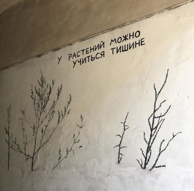 Странности в наших краях