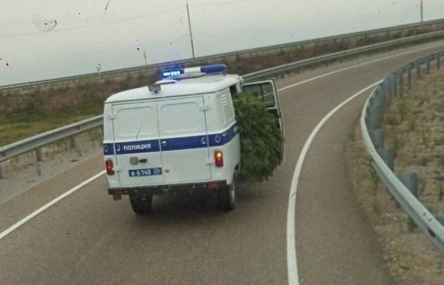 Странности в наших краях