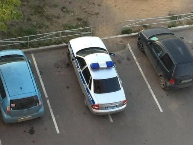 Странности в наших краях