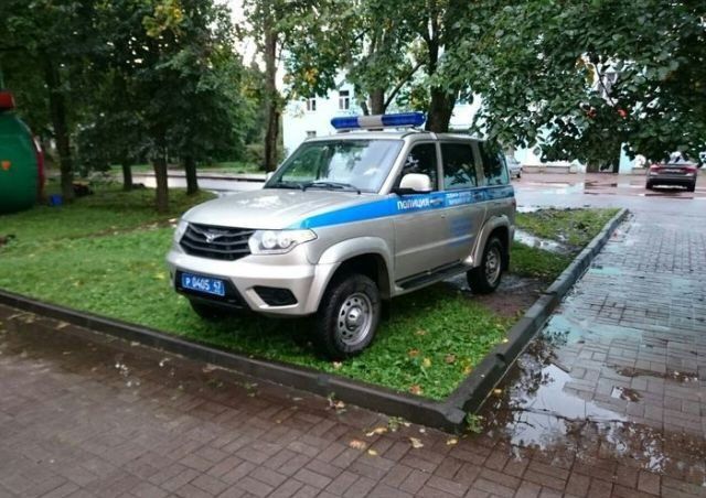 Странности в наших краях