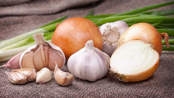 Продукты, которые нельзя хранить в холодильнике Продукты, которые нельзя хранить в холодильнике