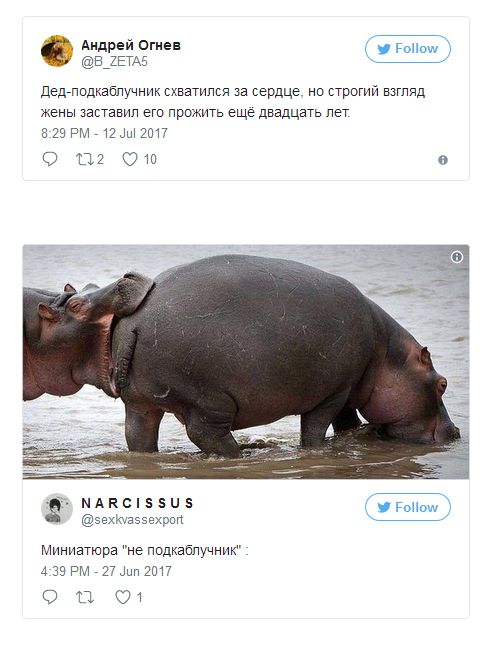 О подкаблучниках и женщинах, привыкших доминировать