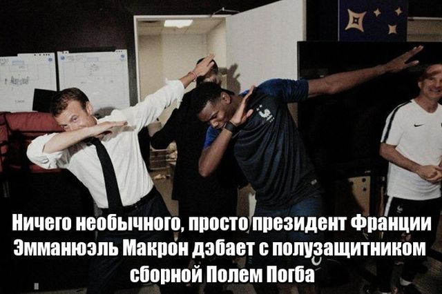 Прикольные картинки
