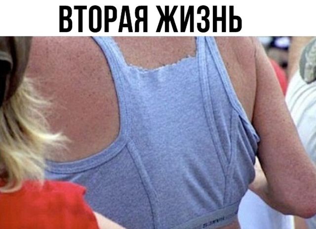 Прикольные картинки