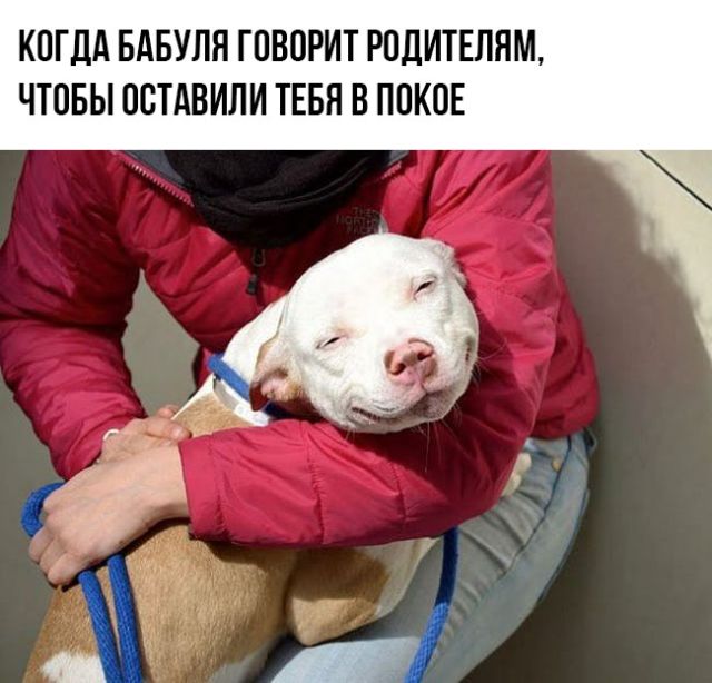 Прикольные картинки