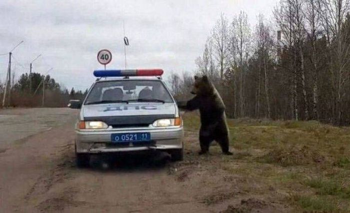 Странные фотографии с наших просторов