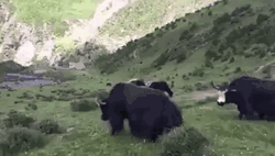 Карма существует