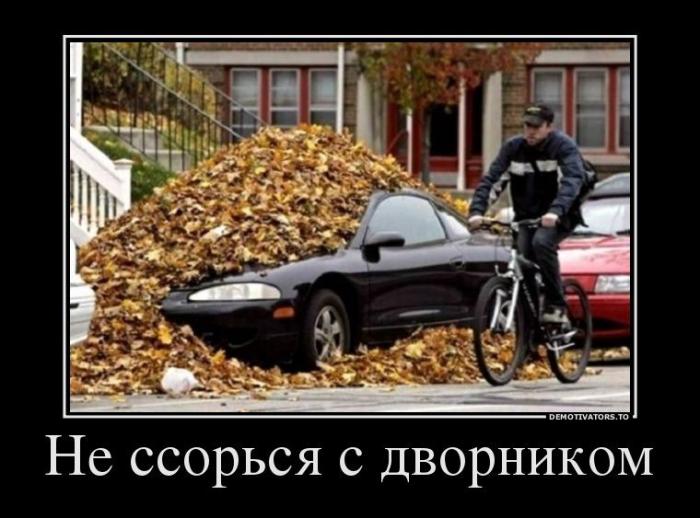 Демотиваторы (60 фото)