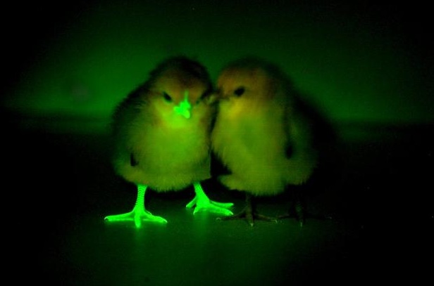 Неделя в фотографиях Неделя в фотографиях