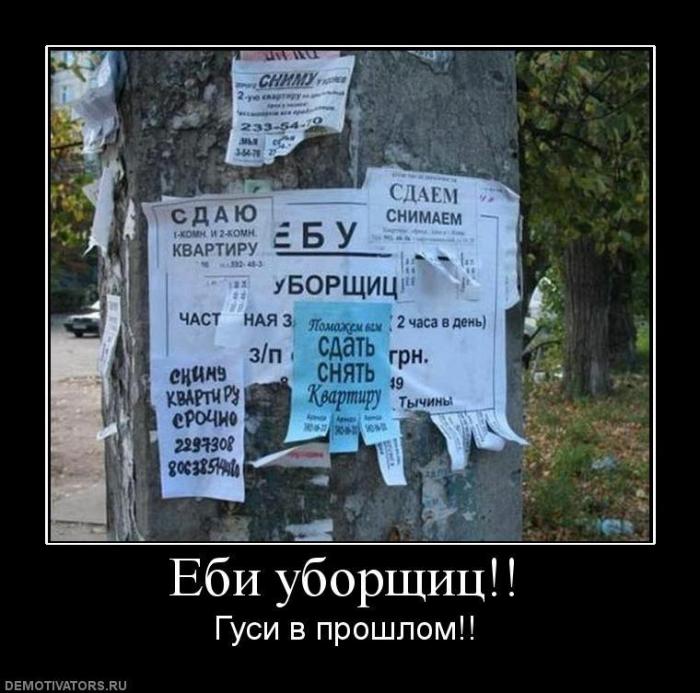 Демотиваторы (66 фото)