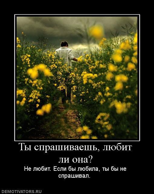 Демотиваторы (66 фото)