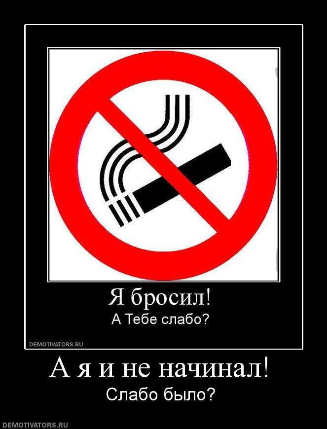 Демотиваторы (66 фото)