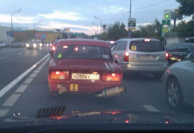 Прикольные картинки