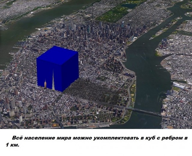 Бесполезные факты обо всем на свете