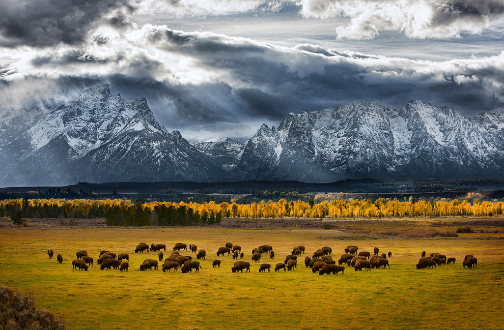 Лучшее с конкурса фотографии National Geographic 2013
