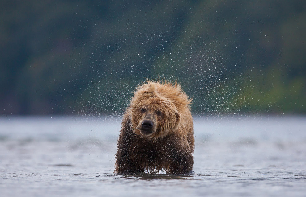 Лучшее с конкурса фотографии National Geographic 2013