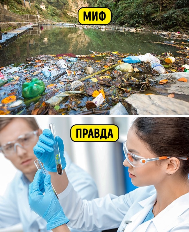 Экологические мифы нашей реальности Экологические мифы нашей реальности