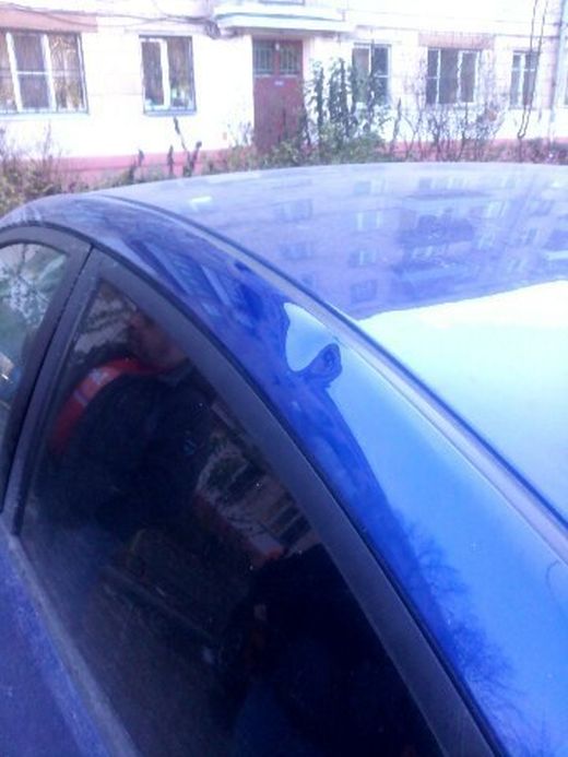 Об угонах автомобилей и работе нашей полиции Об угонах автомобилей и работе нашей полиции