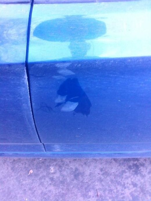 Об угонах автомобилей и работе нашей полиции Об угонах автомобилей и работе нашей полиции