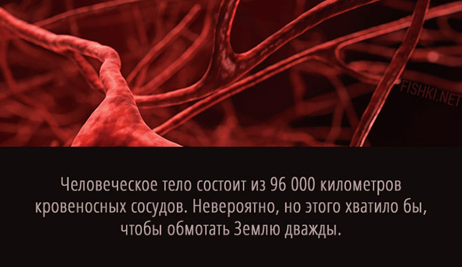 20 суперспособностей, которые есть у каждого