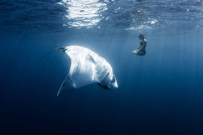 Лучшие фотографии 2014 года без фотошопа Лучшие фотографии 2014 года без фотошопа