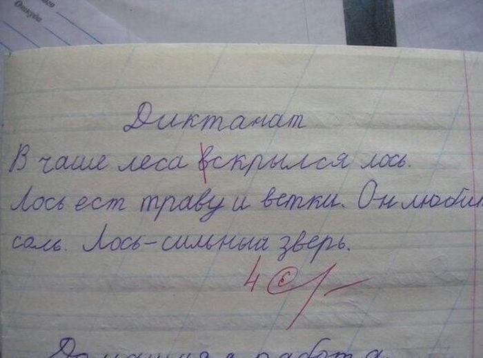 Прикольные картинки (68 фото)